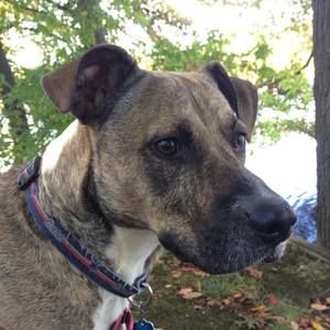 Meet your Posher, Scott